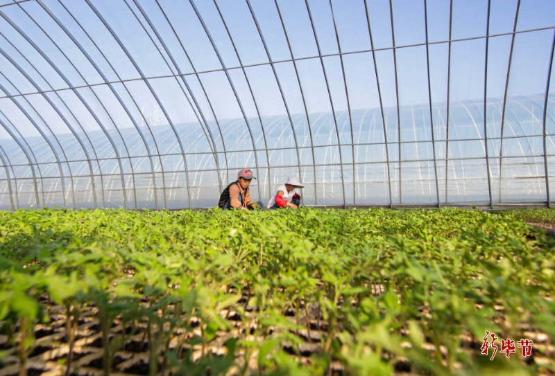 黔货出山山货进城,山货出山土货进城