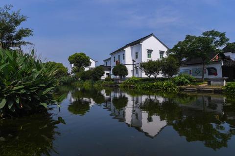 乡村振兴浙江行安吉县,嘉善县乡村振兴先行区