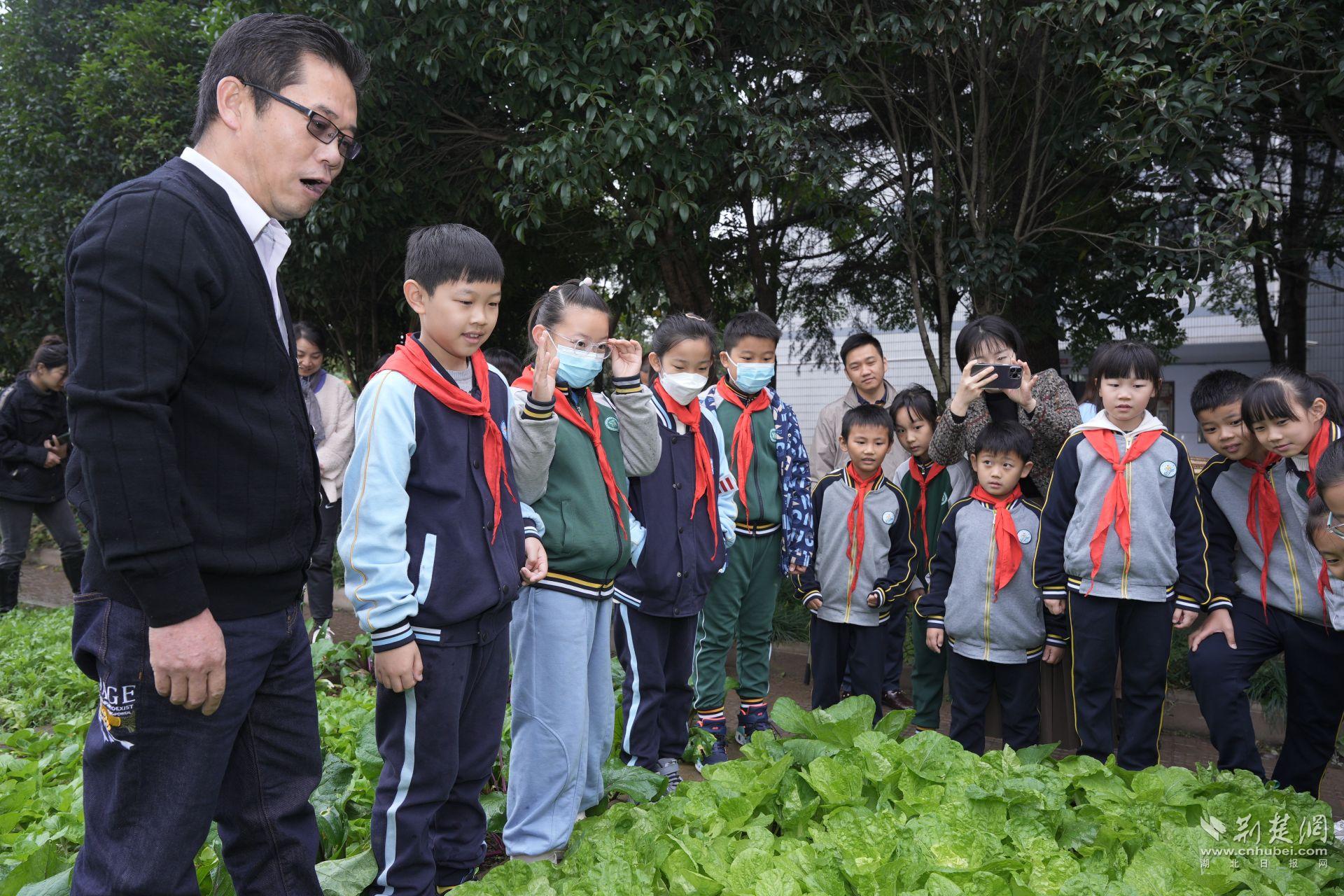 小学校园丰收节方案,丰收节里话丰收趣味活动精彩纷呈