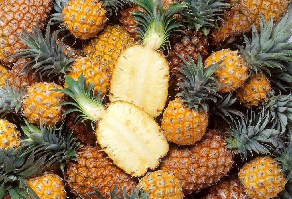 吃菠萝嘴巴刺痛的真相,吃菠萝显微镜下