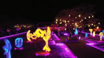 锦绣中华春节攻略,锦绣中国年主题感悟