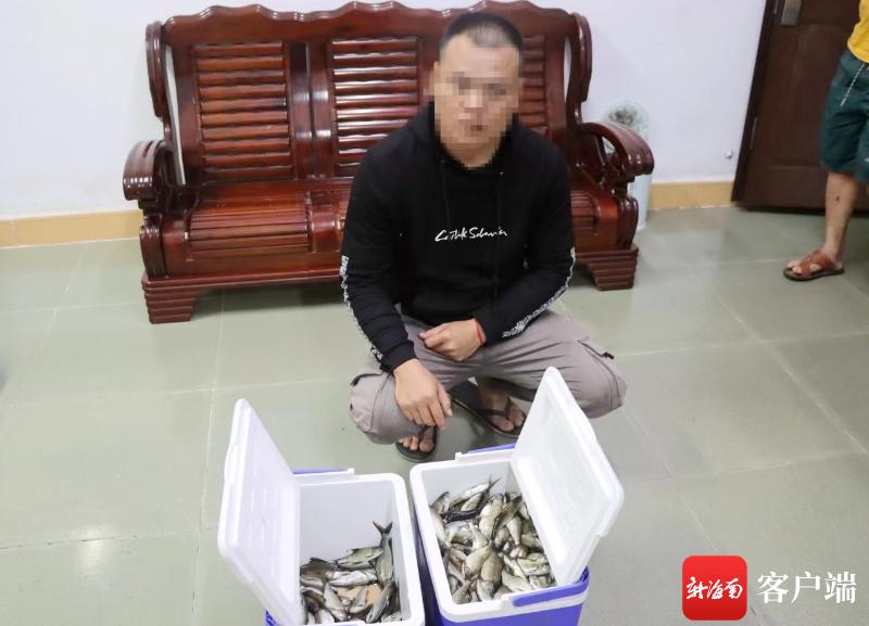 爱鸟护鸟宣传周,公安爱鸟周宣传视频