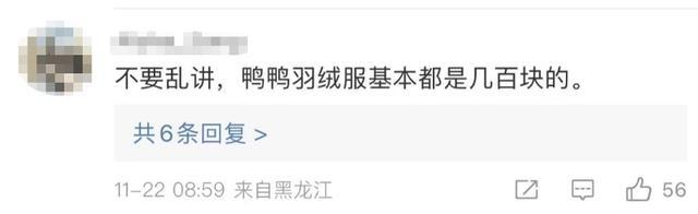 国产羽绒服卖到7000元,国产羽绒服贵上热搜