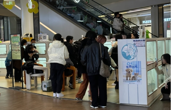 免费领养的猫可以退吗,免费领养的猫但是要支付宝500积分