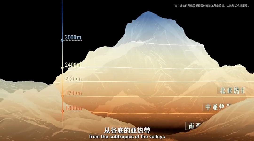 万千气象看云南|《什么是云南》，这就是云南！