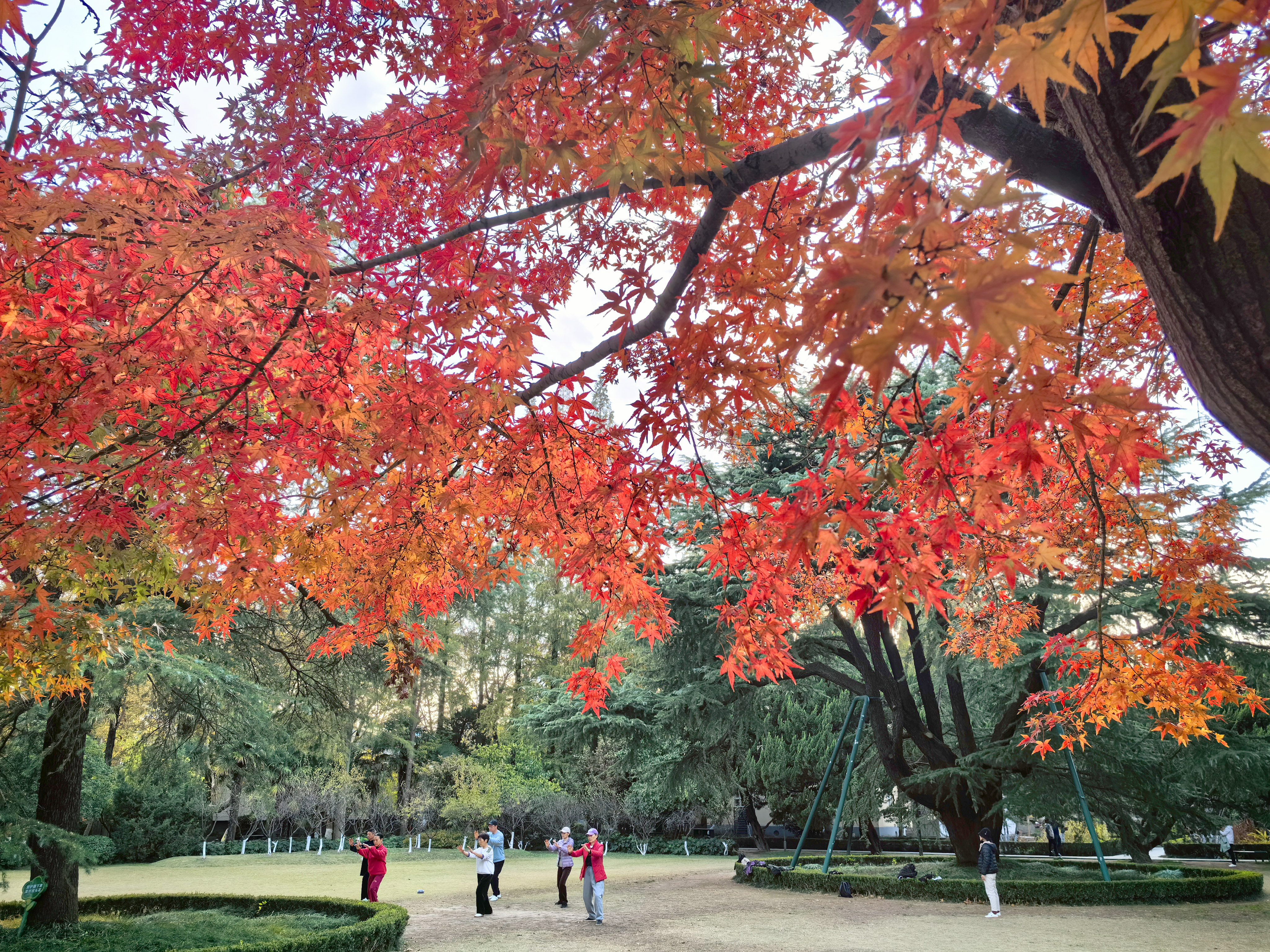 寒冷冬天美景如画,环境美景欣赏