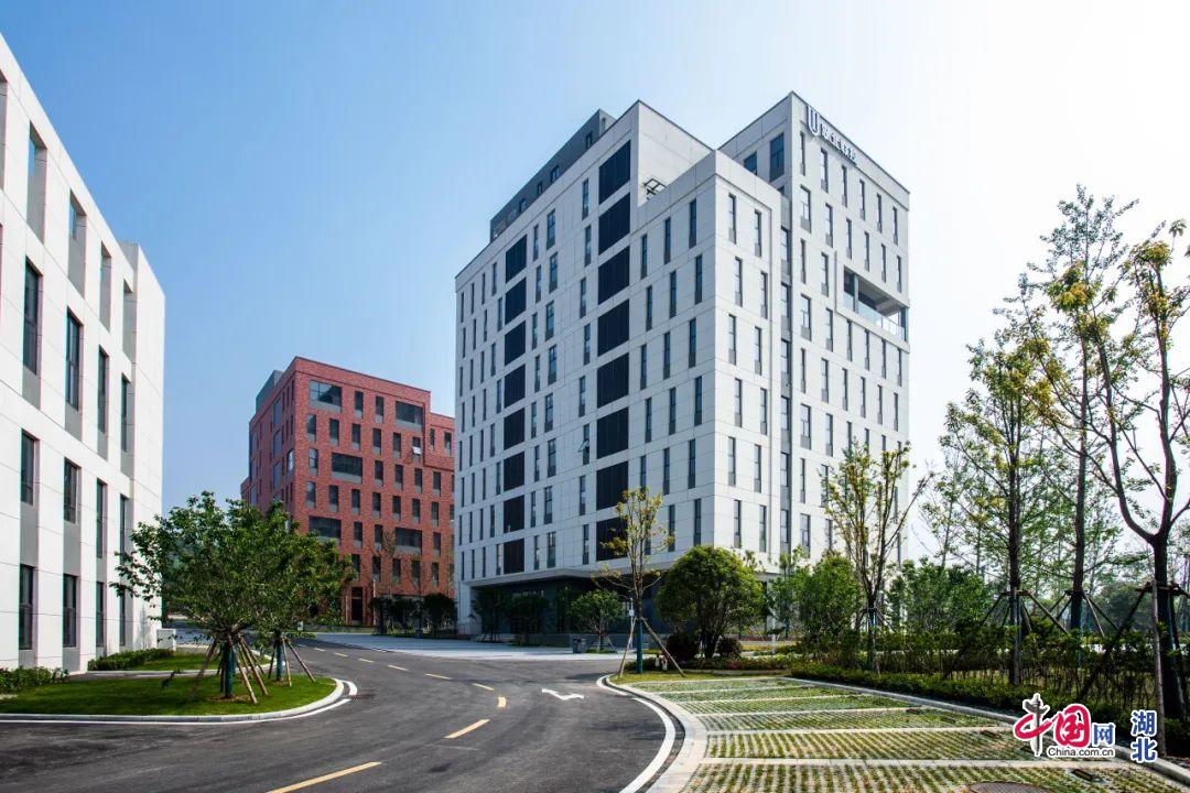 从一张蓝图到盛景呈现,从一纸蓝图到拔地而起