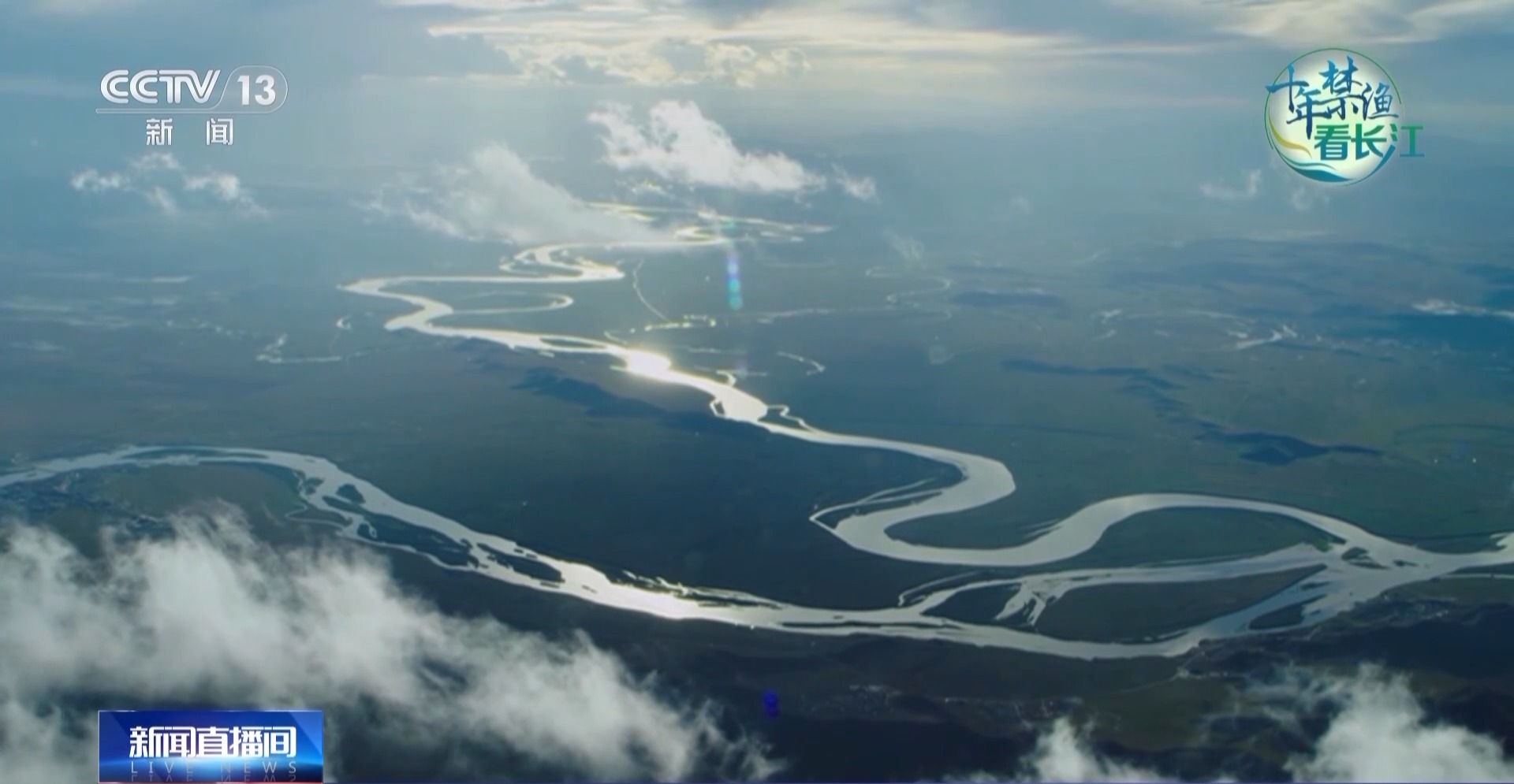 长江禁渔鱼类数据变化,长江禁渔三年多鱼儿们过得怎么样