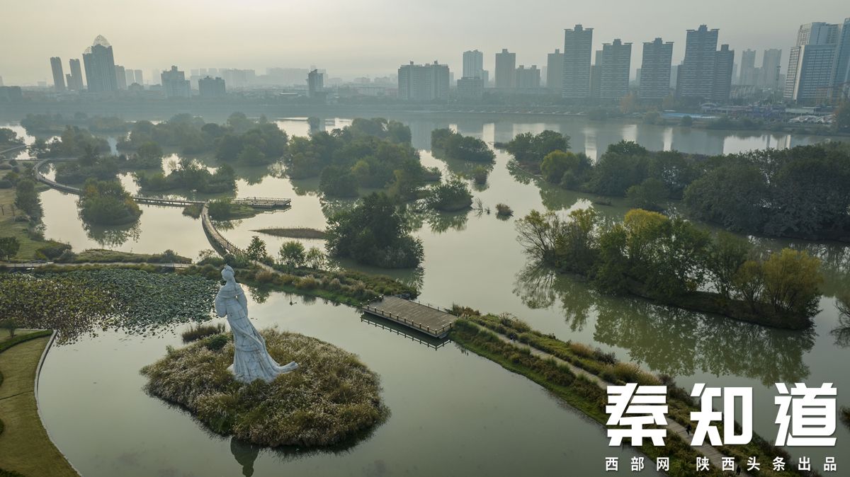 秦直道,秦知道小说