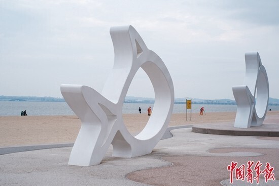 爱拼才会美丽,爱拼才会赢沙鸥