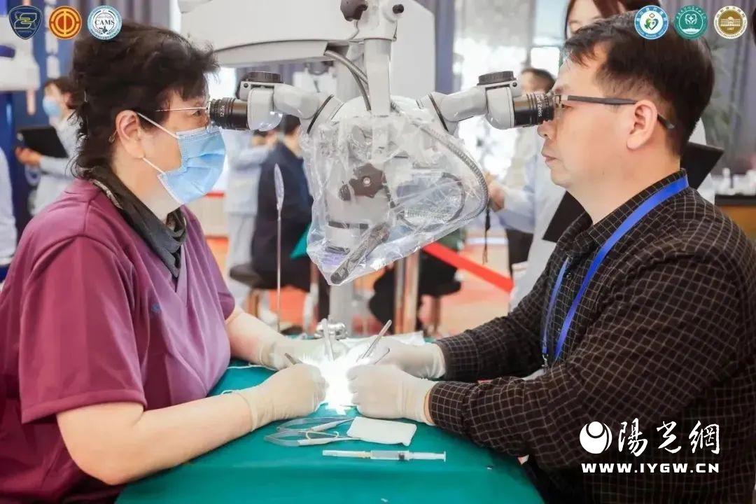 显微血管缝合大赛,超级显微血管吻合大赛