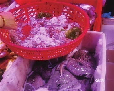 青岛开海什么海鲜最好,青岛开海了新鲜肥美的海鲜已上市