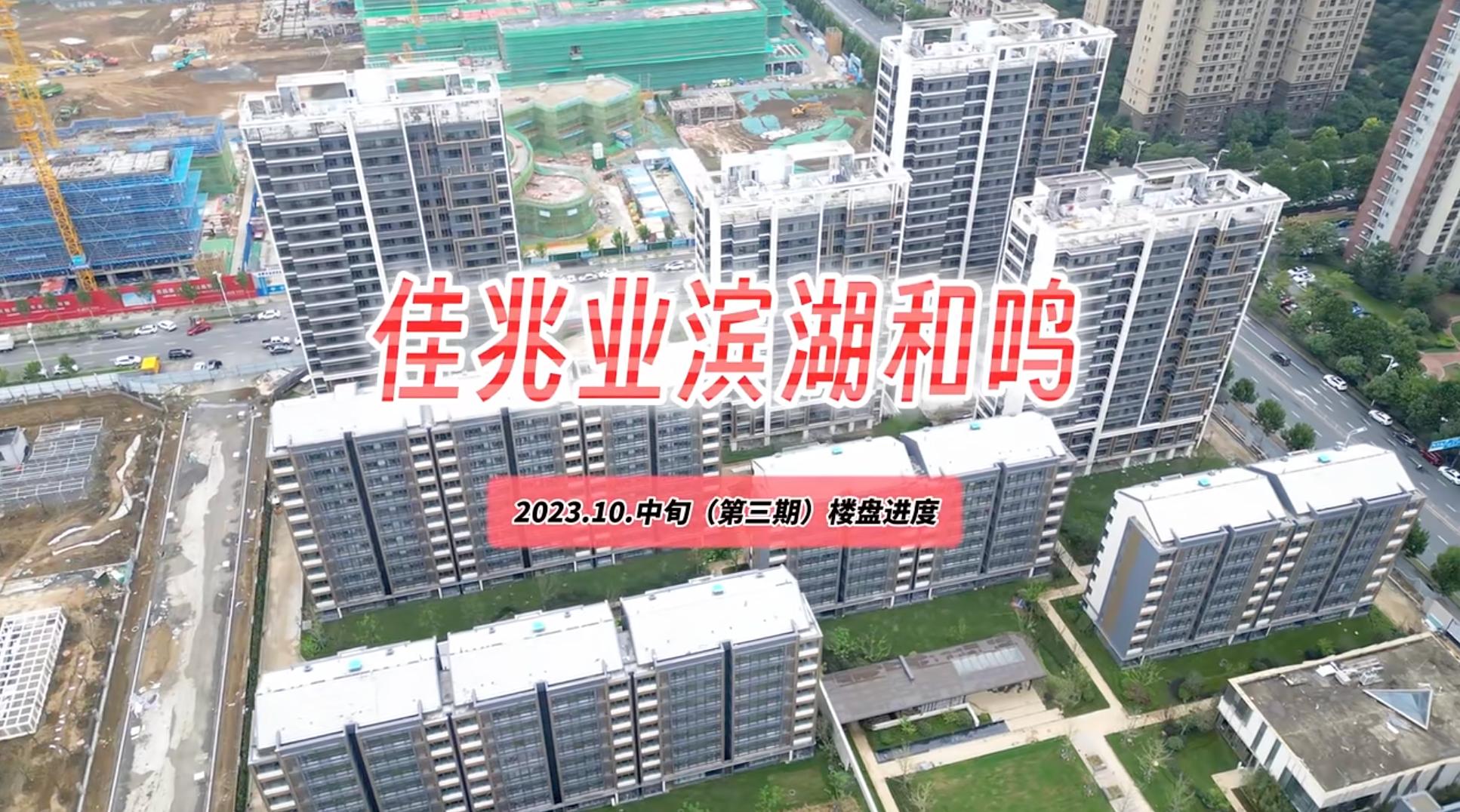 项目公告延期有没有时间要求,部分项目已延期完成