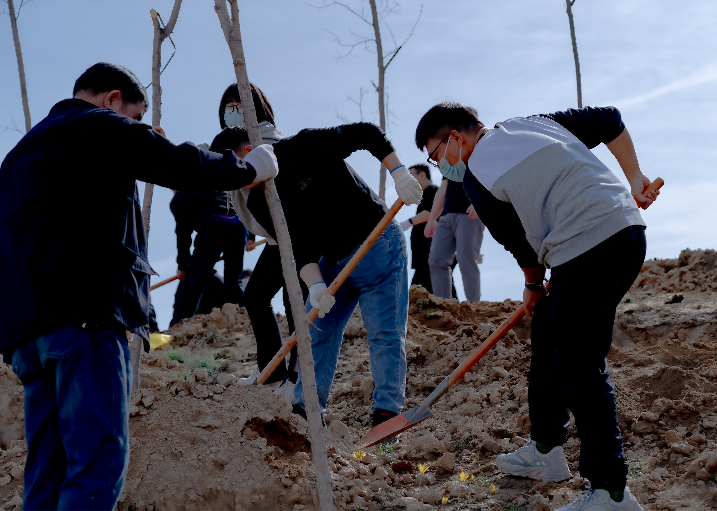 春季植绿正当时米东区再添380亩新绿