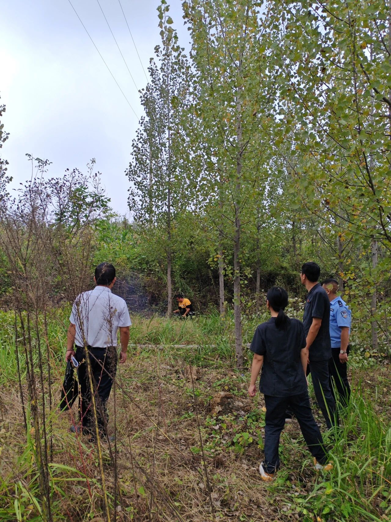 沂水县：穆陵长城美，故乡“枫”景红