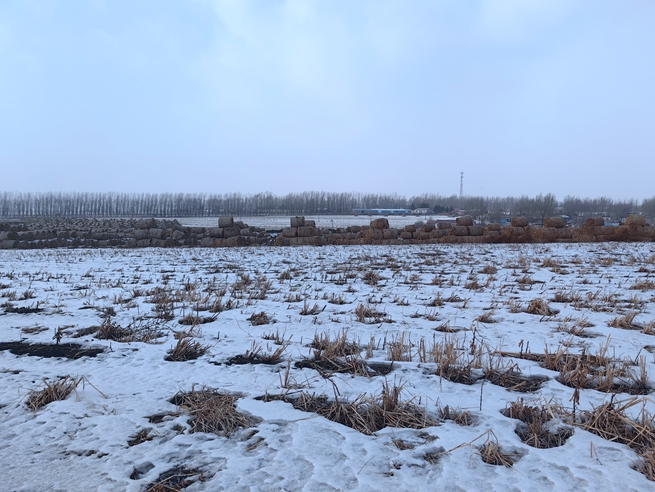 大型民营企业资金链断裂,资金链断裂面临破产企业