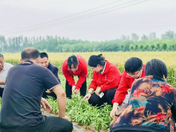 科技小院大赛决赛,第二届科技小院决赛