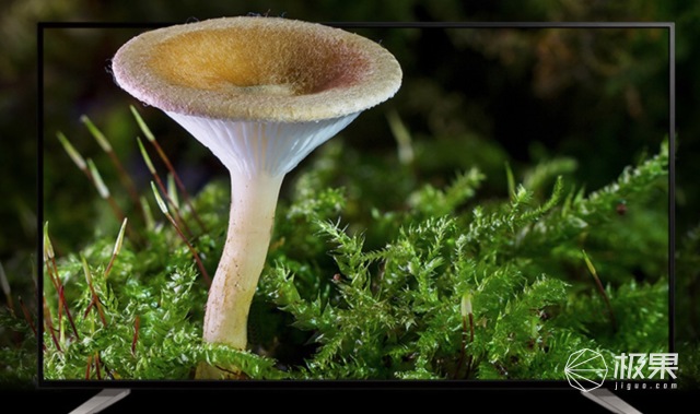 世界杯投影看球,看球赛黑科技