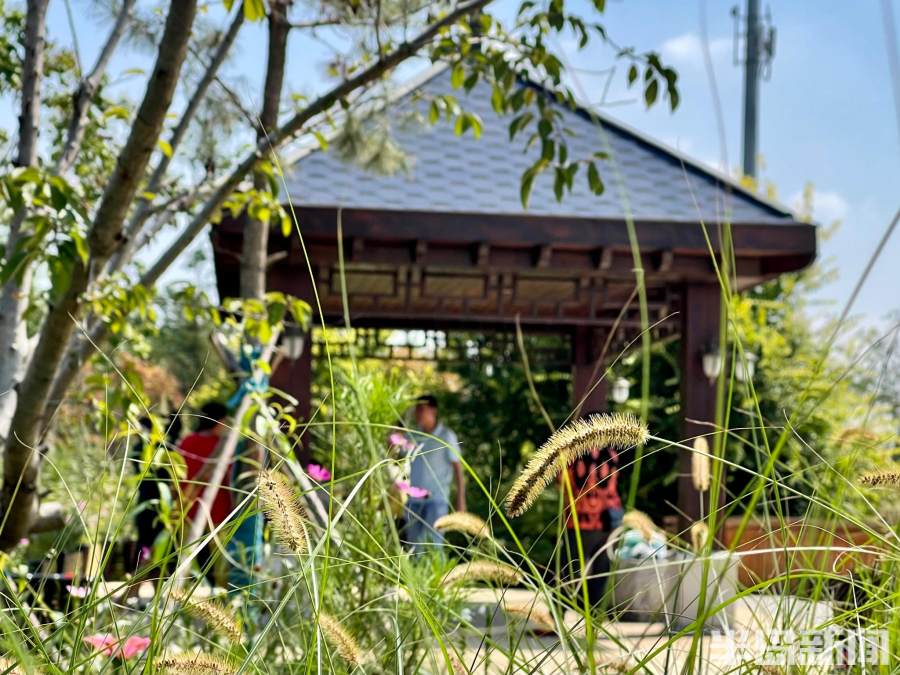 青岛老虎山公园现状,老虎山公园李沧改造