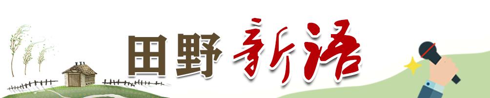 田野新语｜农业干得好，不妨去评个新型职业农民职称