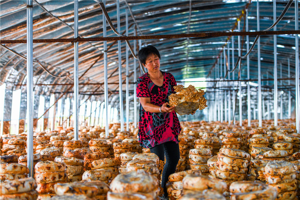 小康不是梦快乐女声,小康不是梦