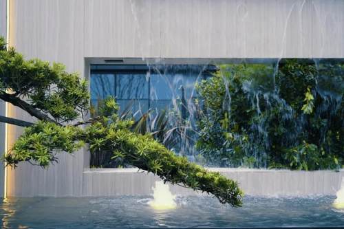 双流区2024重点项目,双流区tod最新规划