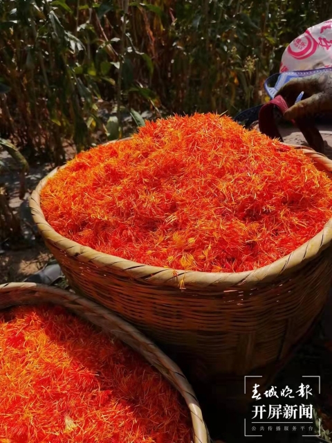 上热搜！取天地间的草木，云南女子将汉服染成了古诗词里的颜色