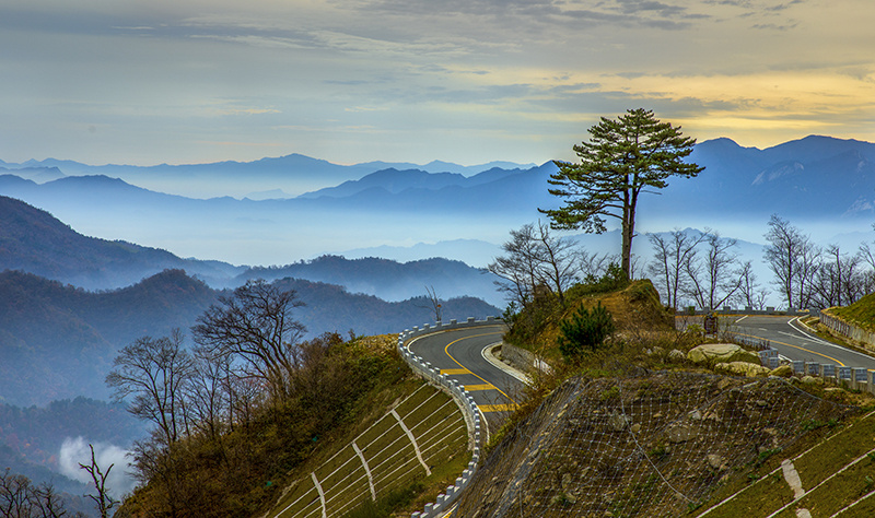 高速上的安徽:大道如虹“皖美”焕新
