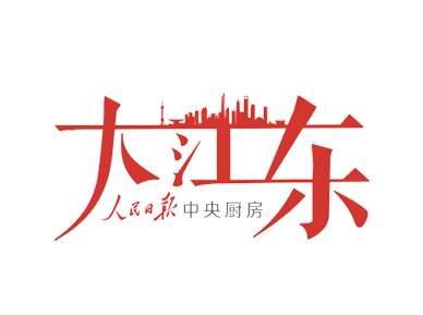 大江东产业集聚区地图,大江东新城核心区