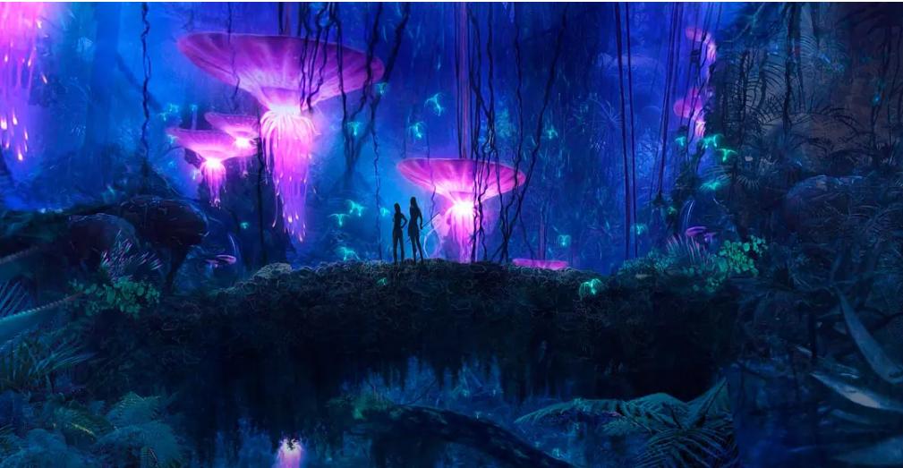 梁鹏飞作品,梁鹏飞驻马店