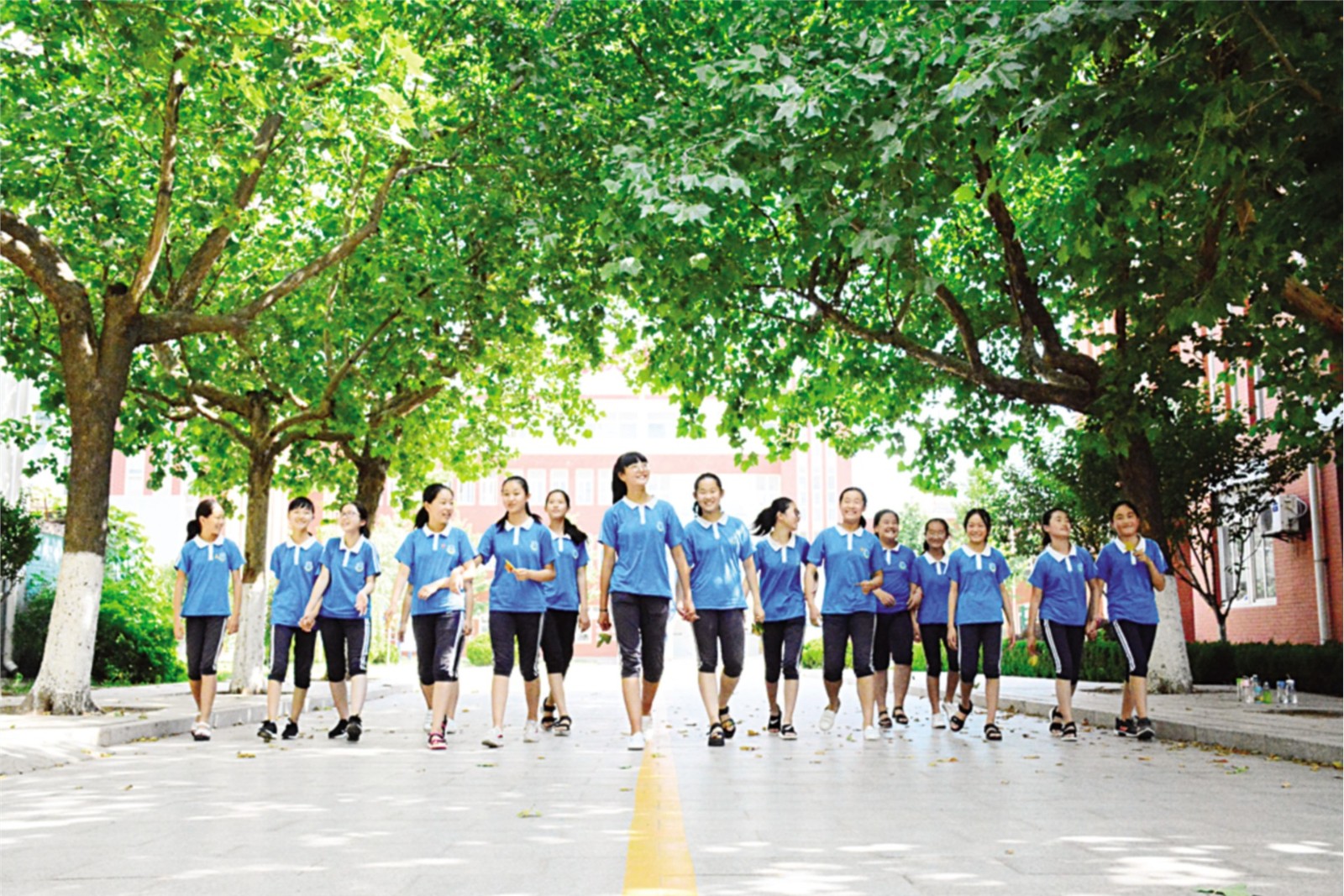 小支出办大项目小县区办大教育——潍坊市坊子区探索县域教育高质量发展新模式