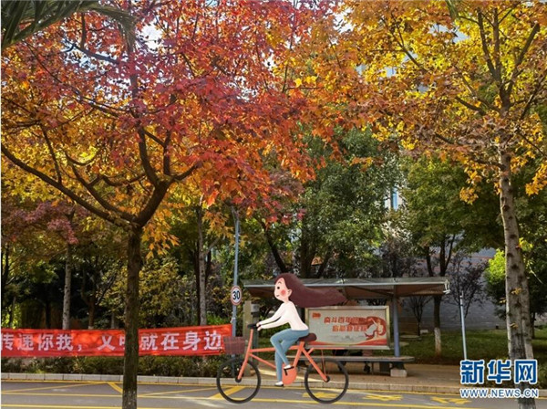 浙江大学手绘校园风景,云南高校手绘图