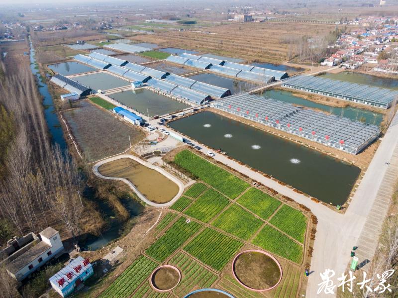 先试验后示范再推广,先试点后推广体现了什么东西