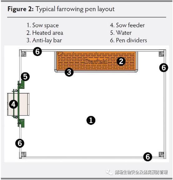 母猪产床上的保温灯是怎么固定的,仔猪产仔箱保温灯离仔猪多高为好