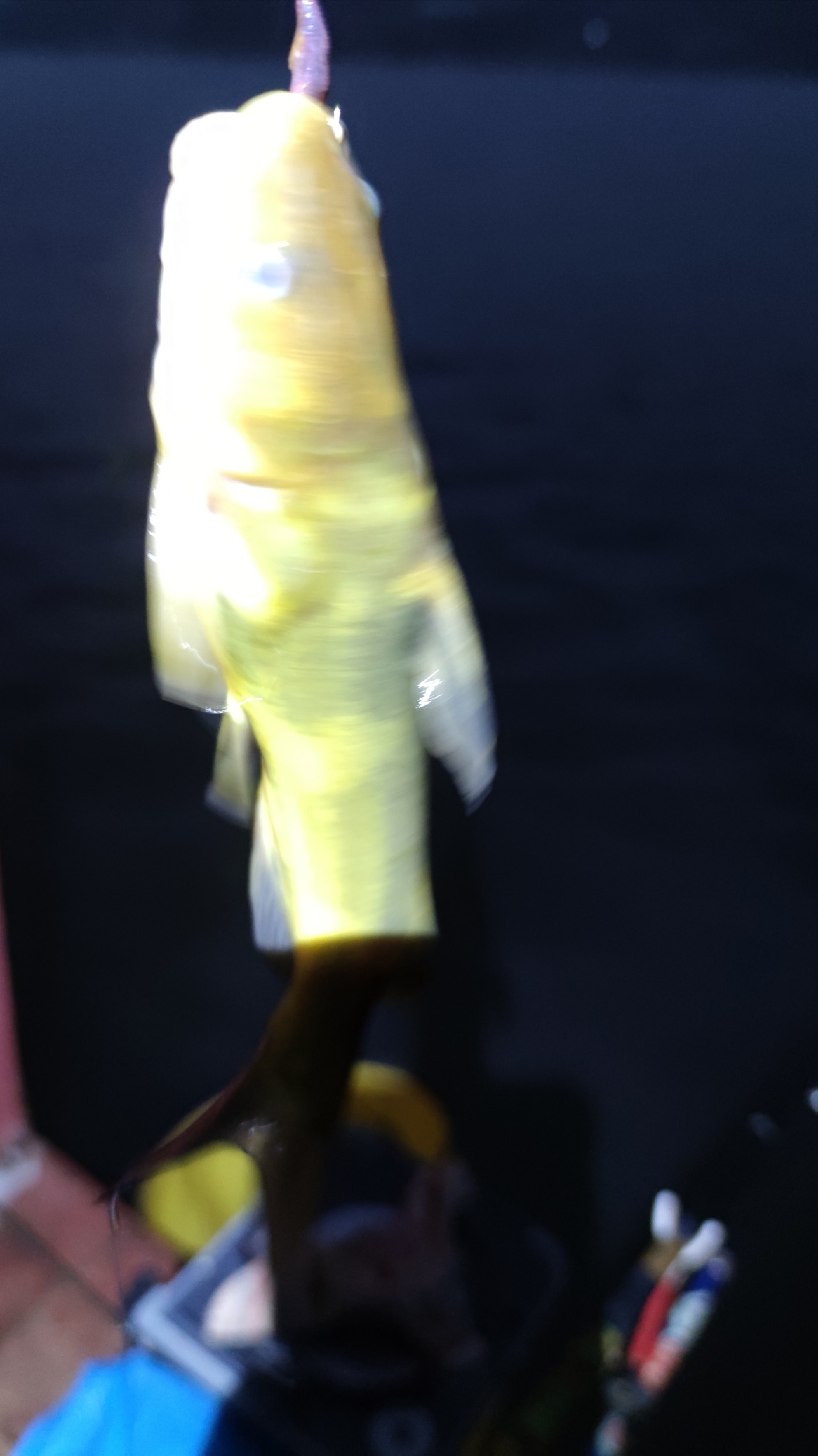 梅子姐这次选了没有打窝的钓位，渔获究竟如何呢