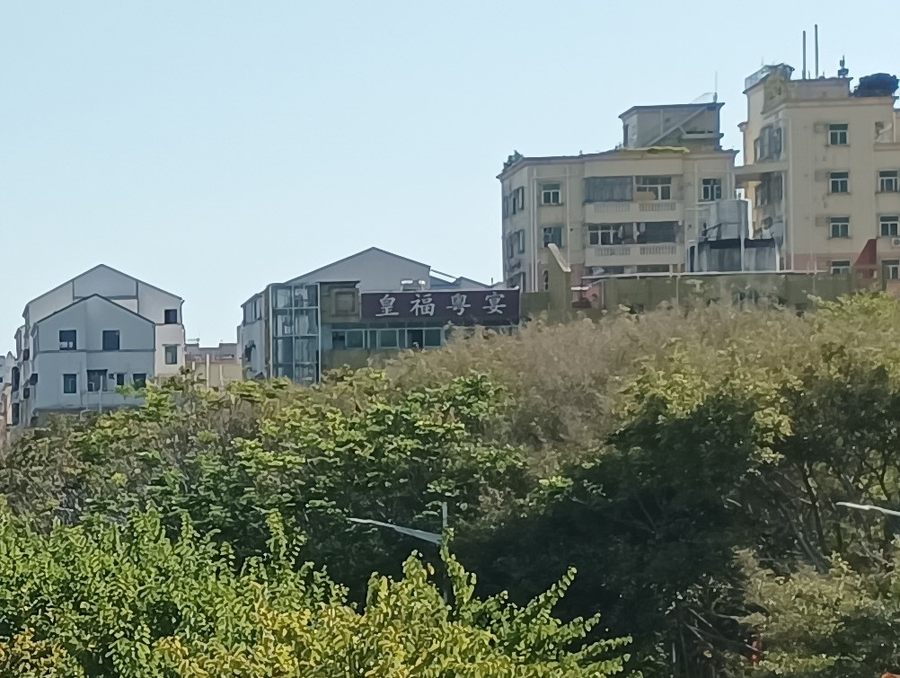 酷派cool20pro星空限定版评测视频,酷派cool20pro评测黄色实图