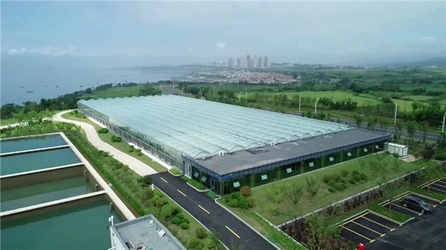 威海蓝碳科技,威海南海蓝碳