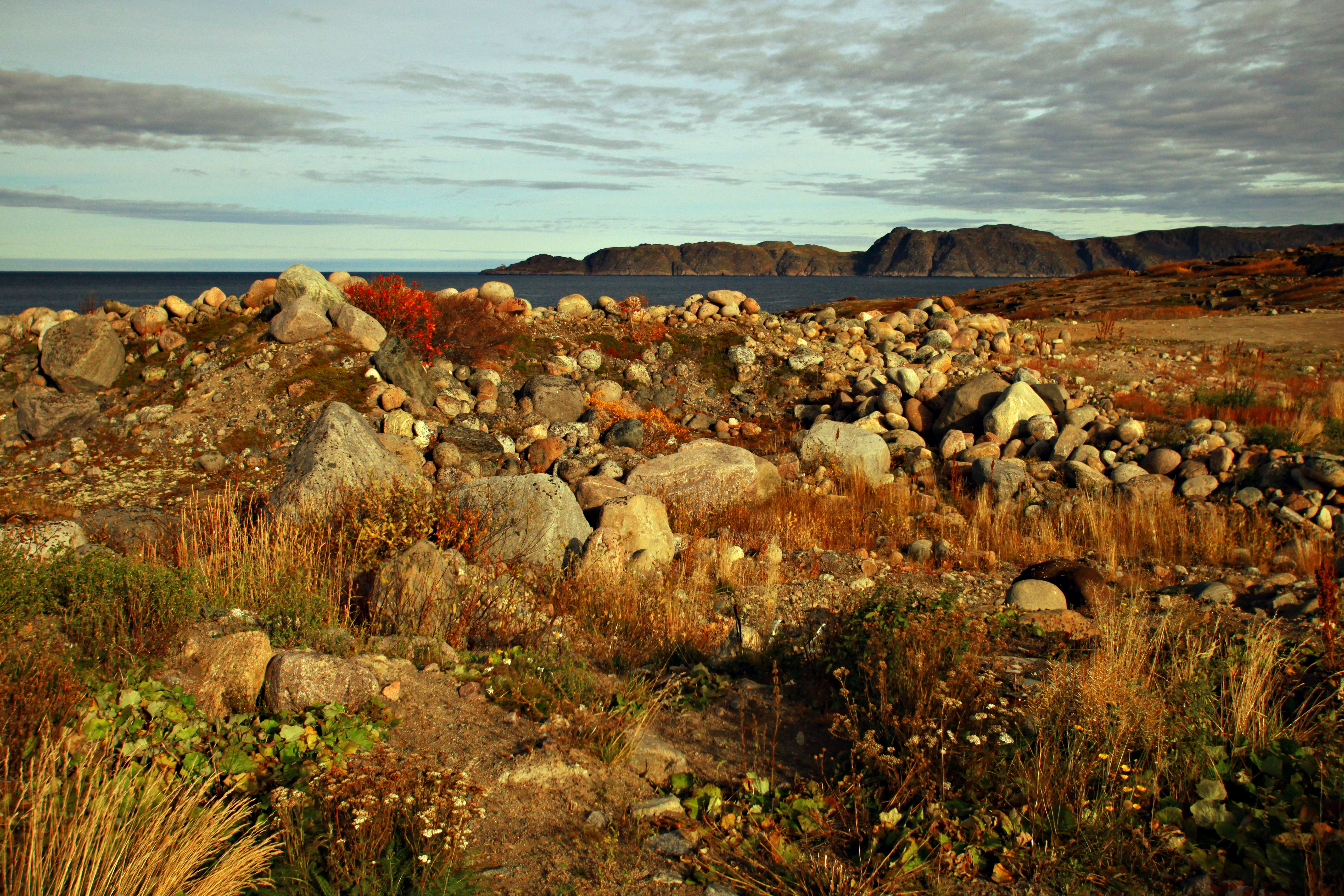 俄罗斯捷里别尔卡北冰洋,俄罗斯叶卡捷琳堡掠影