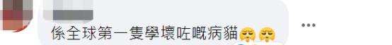 梁振英批美式民主应对疫情天灾不力：抓不到老鼠竟自夸是全球第一好猫