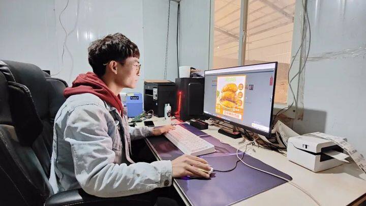 高山雪莲果丰收了,雪莲果丰收时节