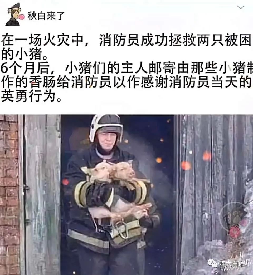 女生聊天回哈哈哈怎么回复高情商,高情商回复我想你了聊天技巧