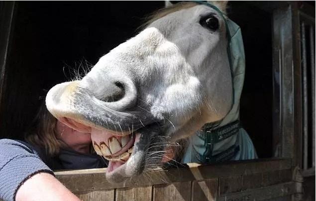 骑手说的心里话,骑手最怕听的一句话
