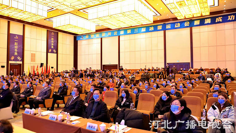 河北省第三届冰雪运动会冰球决赛,河北省第三届冰雪运动会