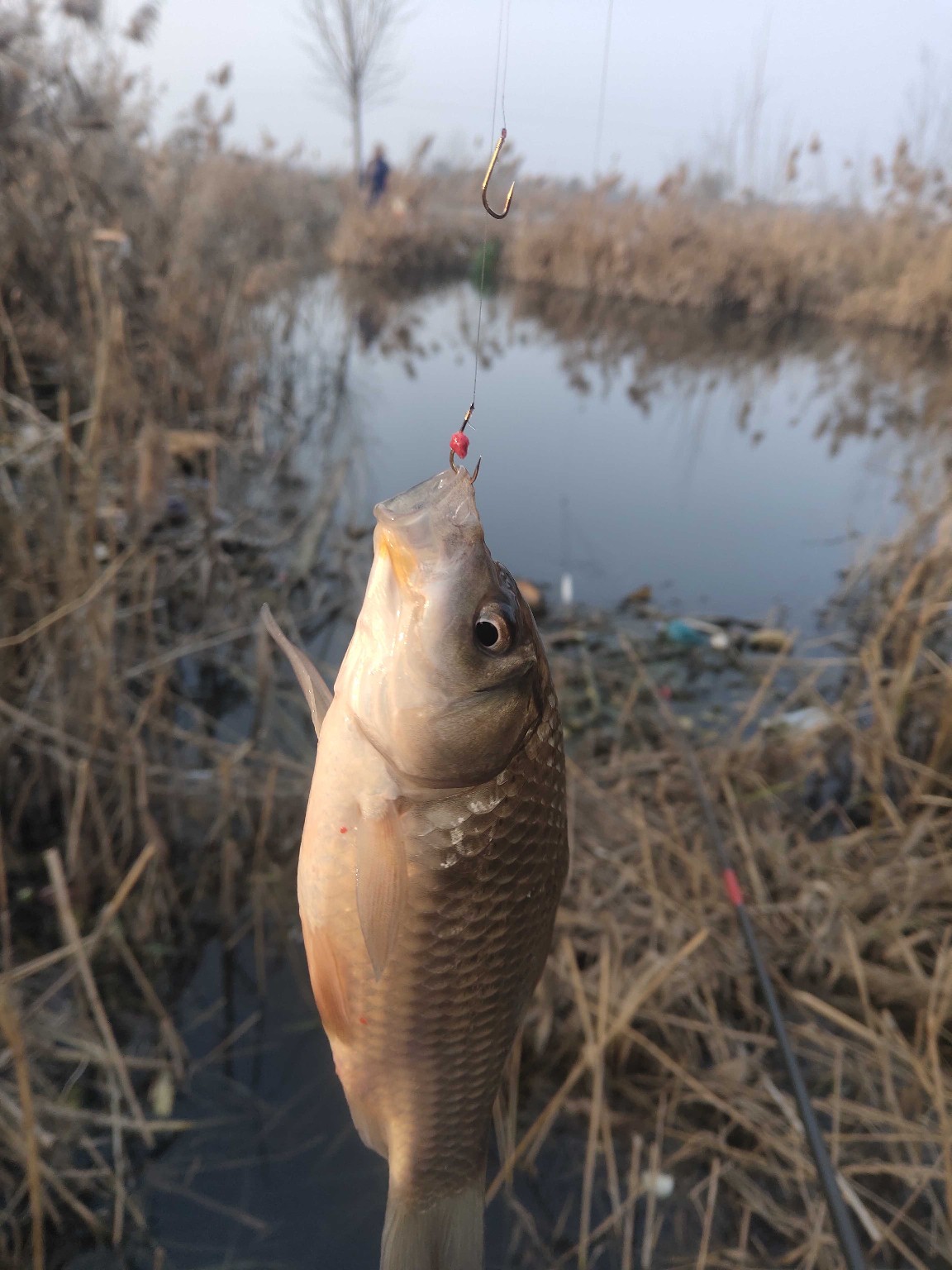 邓刚大师讲解调漂,新手立漂调漂的正确方法和技巧