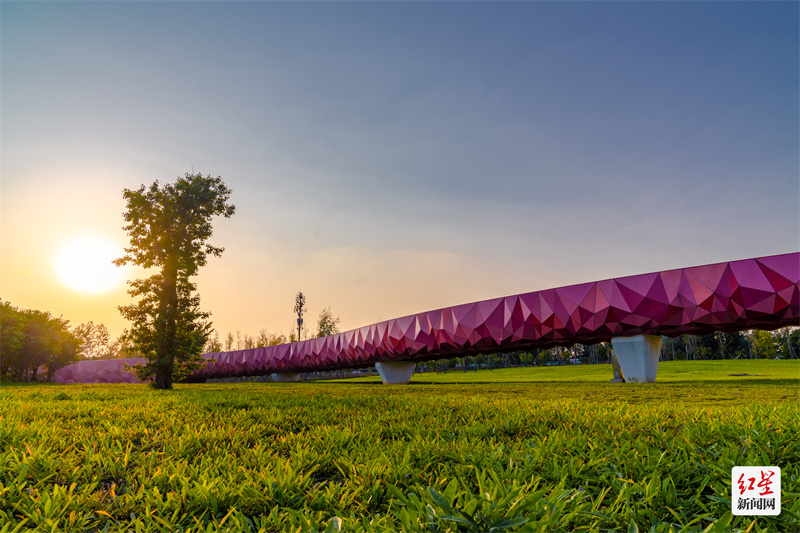 翡翠项链要多少钱一条,惊艳的翡翠项链