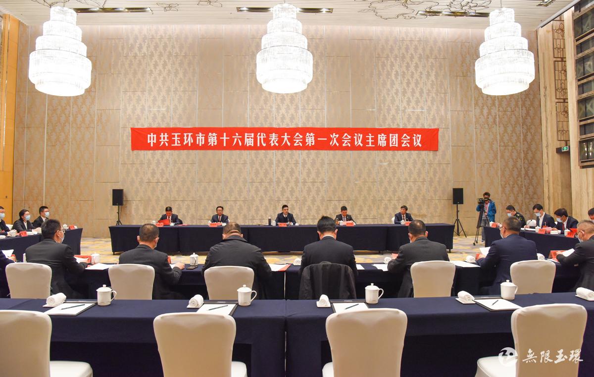 玉环市十六届一次*党**代会举行主席团常务委员会第一次会议和主席团第二次会议