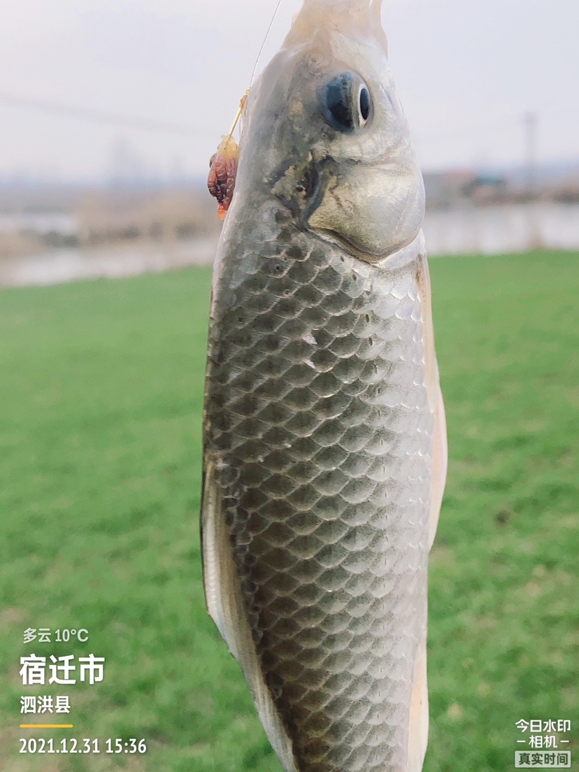 冰钓沉浸式体验,第一次体验冰钓视频