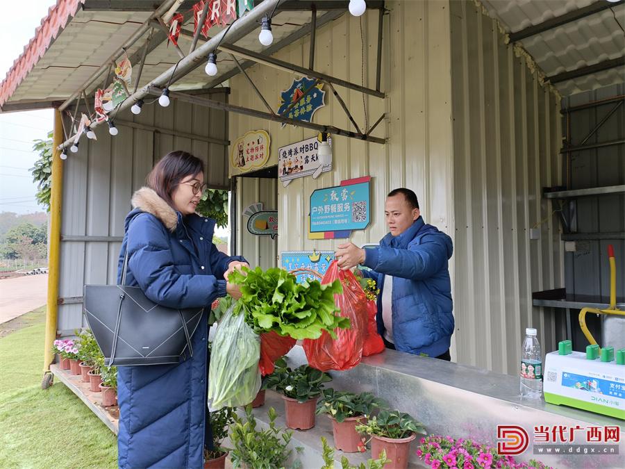 南宁：“老供销”变身“三农保姆”助力乡村振兴