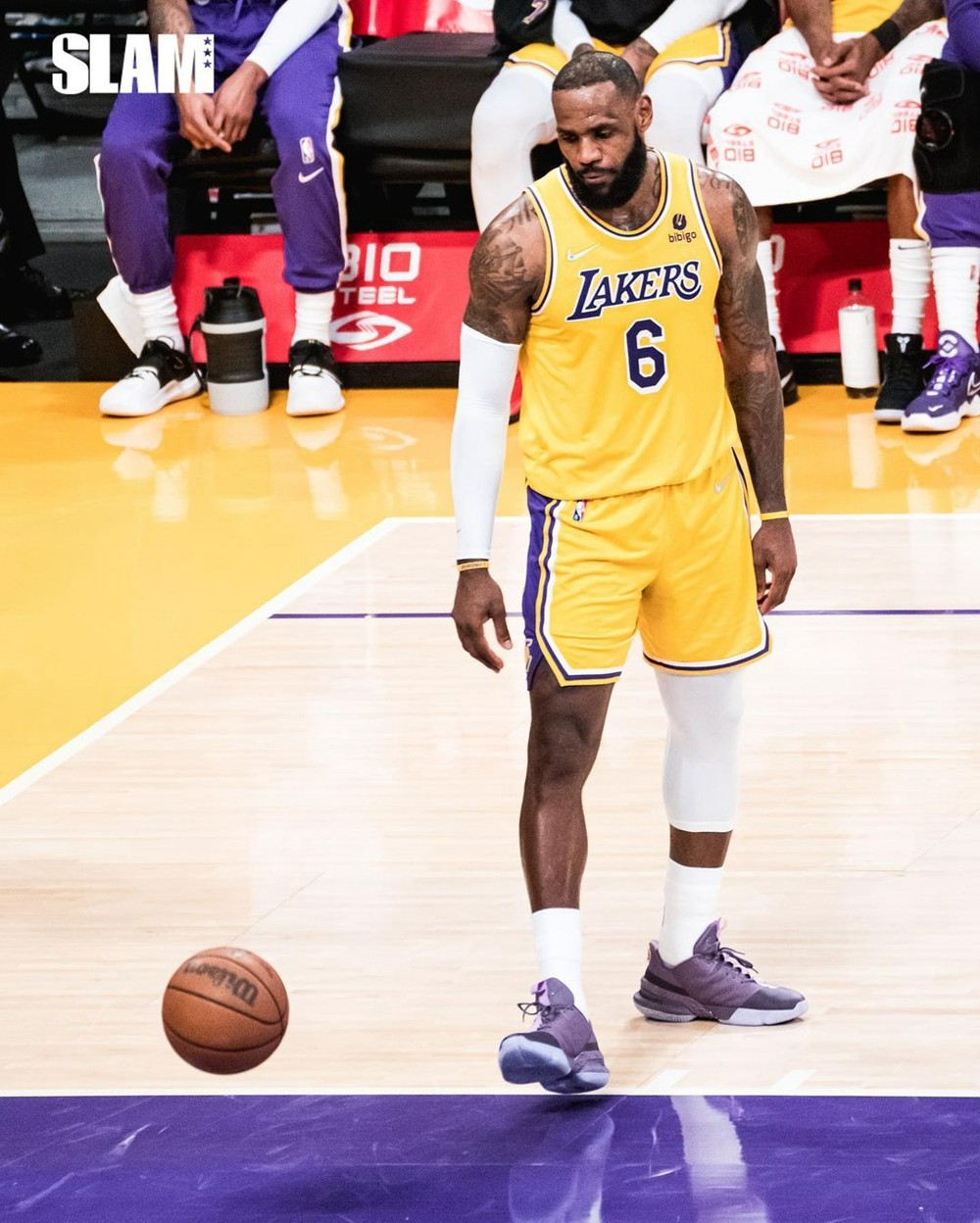 诺天王球衣退役仪式热度,诺天王球衣退役视频