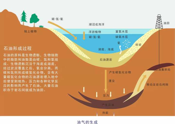 科学汇|到底啥是石油？中石油杭州地质研究院专家专门为同学们科普石油的前世今生